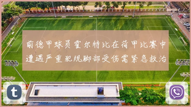 前德甲球员霍尔特比在荷甲比赛中遭遇严重犯规脚部受伤需紧急救治