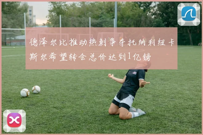 德泽尔比推动热刺争夺托纳利纽卡斯尔希望转会总价达到1亿镑